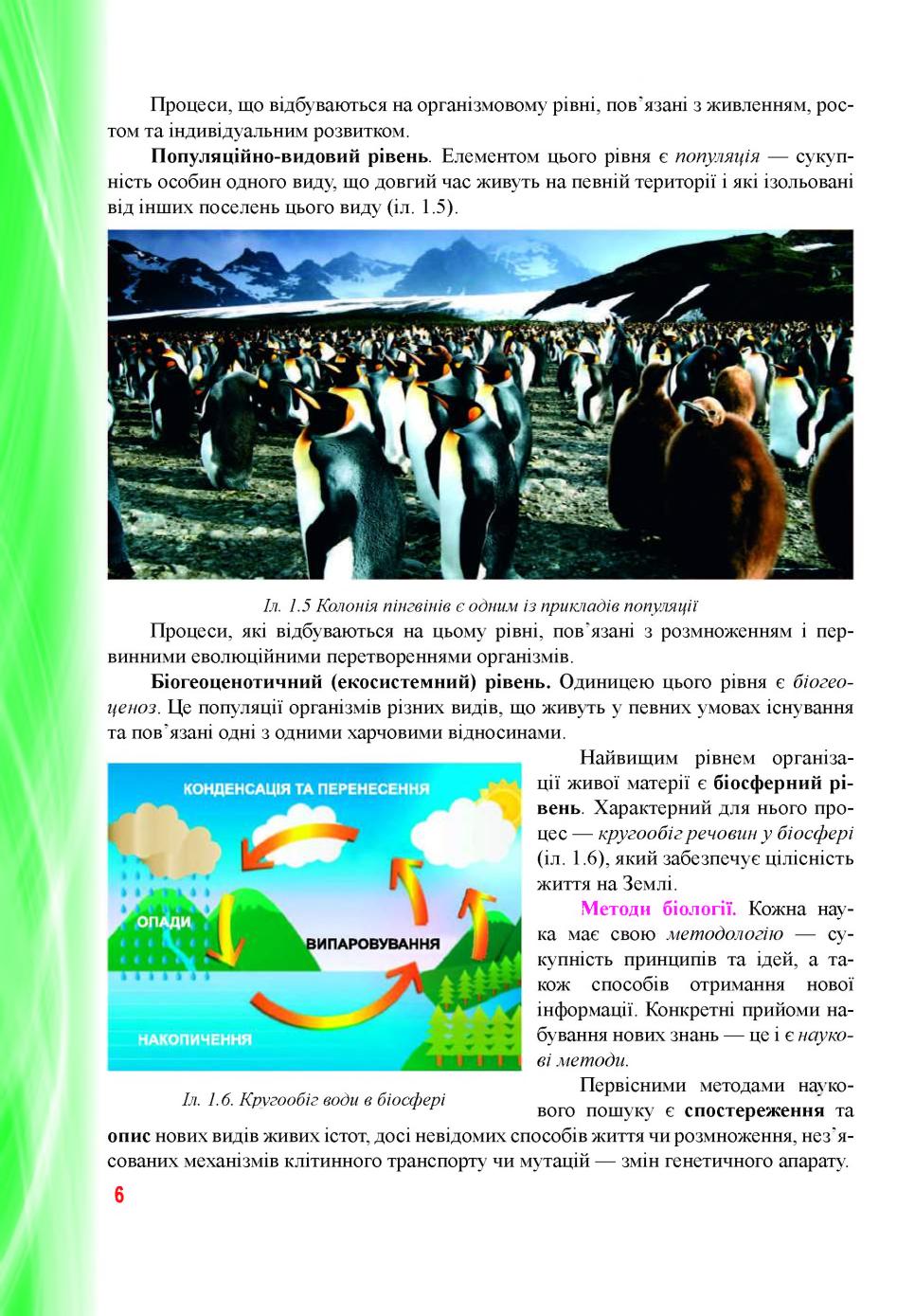 Мініатюра 6