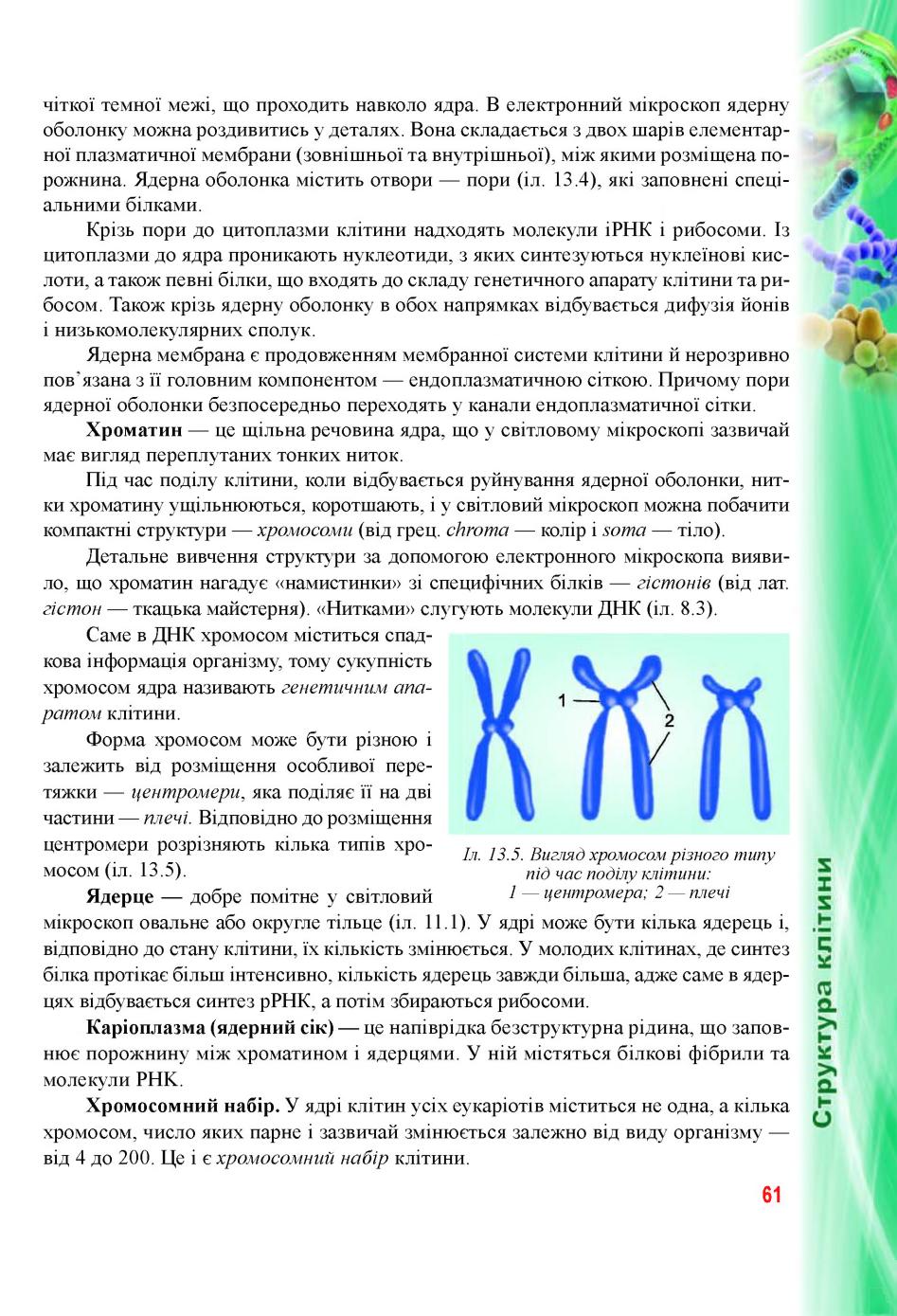 Мініатюра 61