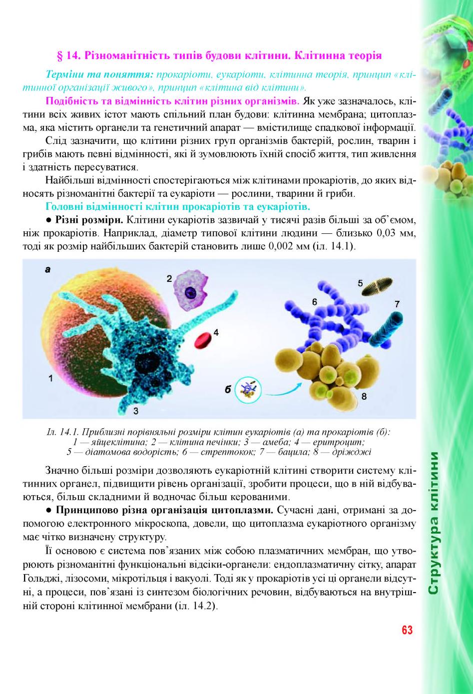 Мініатюра 63