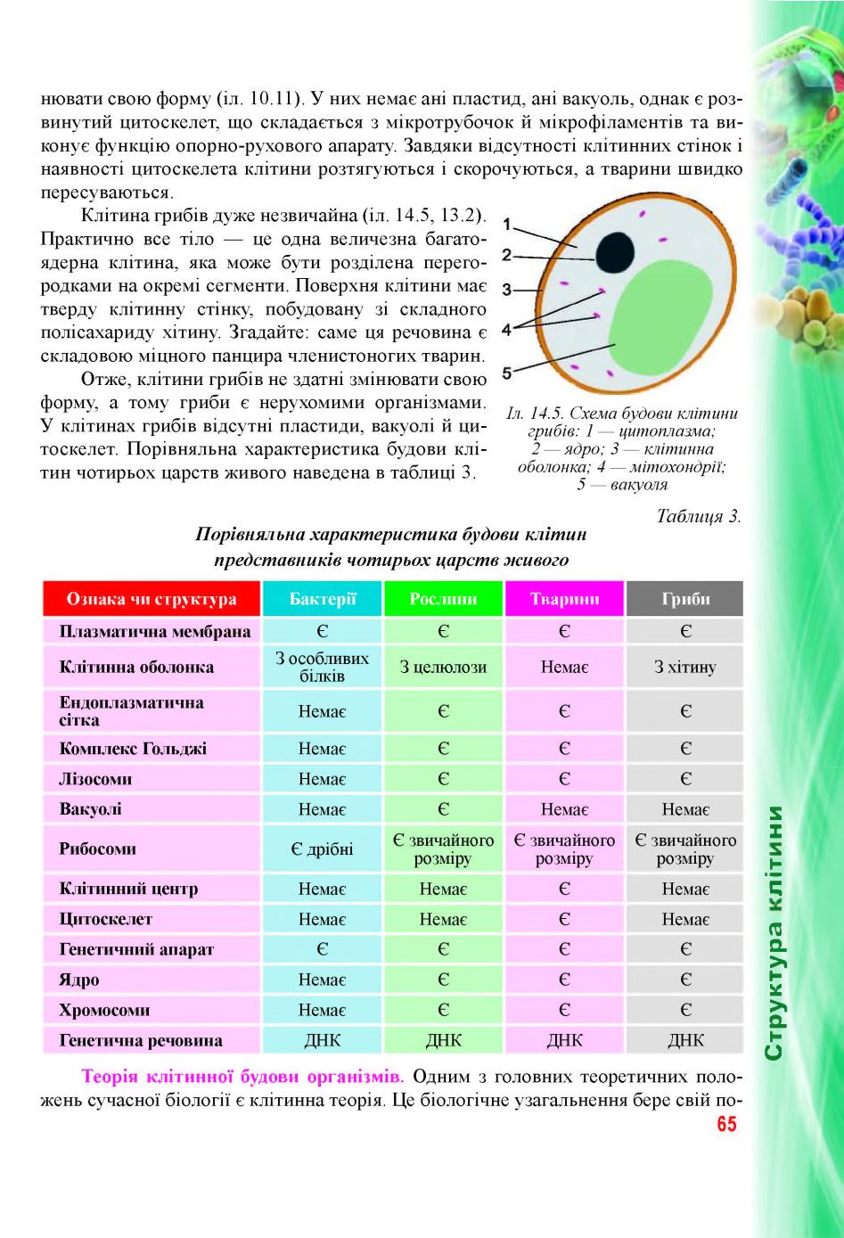 Мініатюра 65