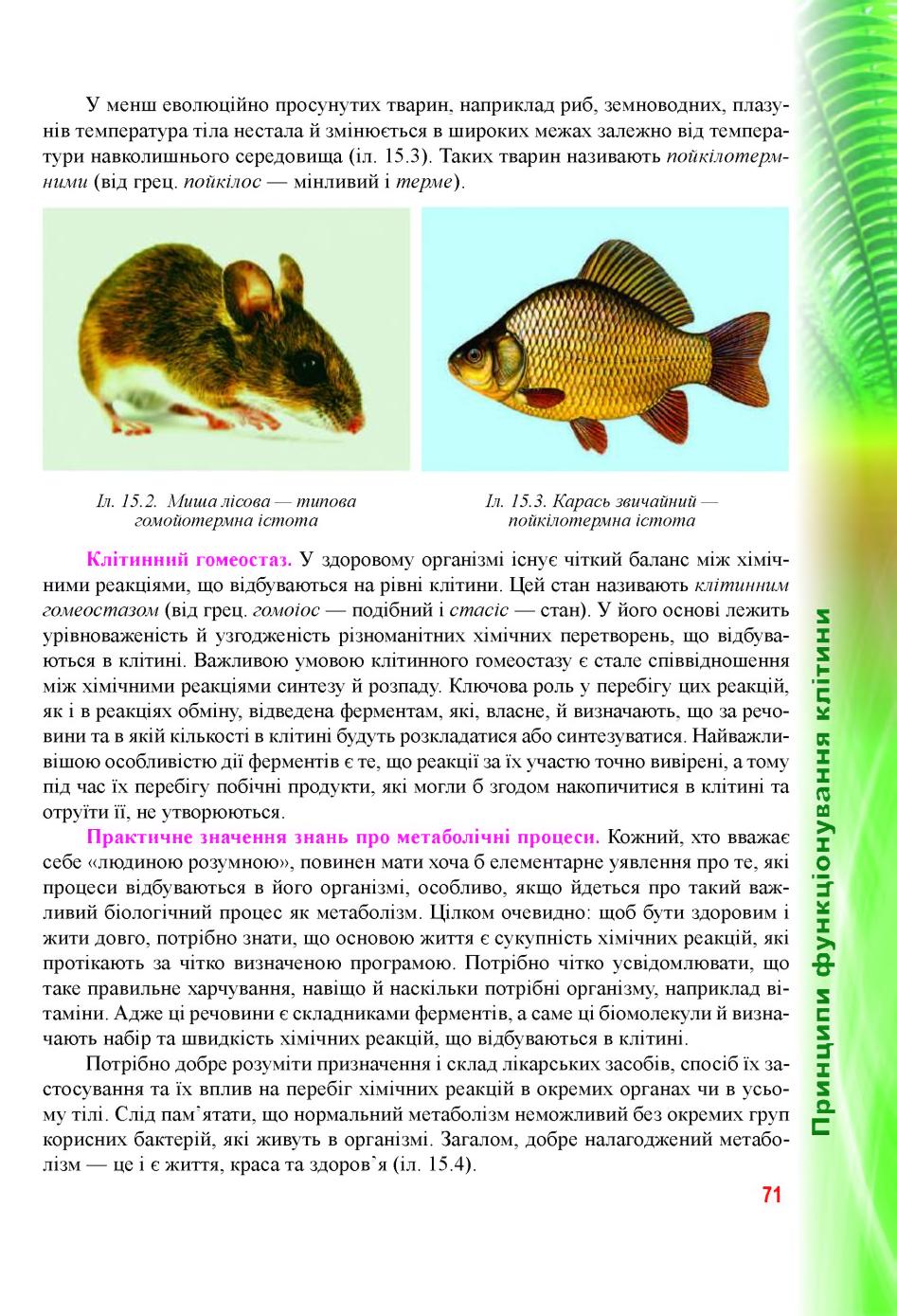 Мініатюра 71