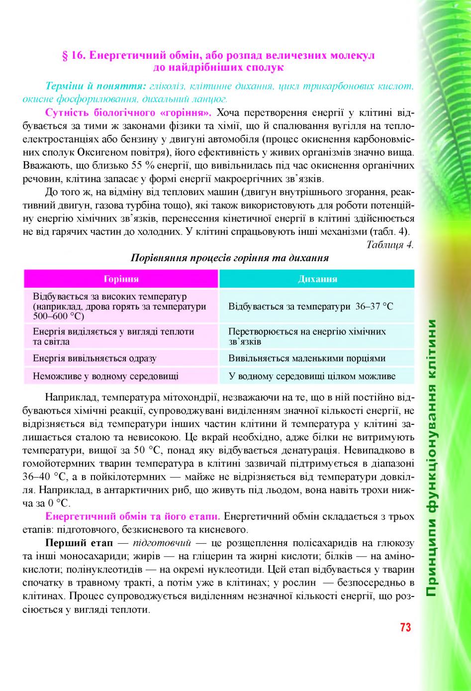 Мініатюра 73