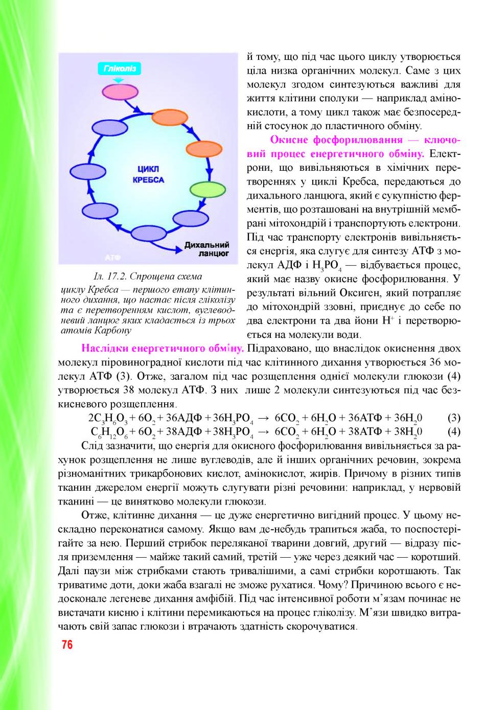 Мініатюра 76