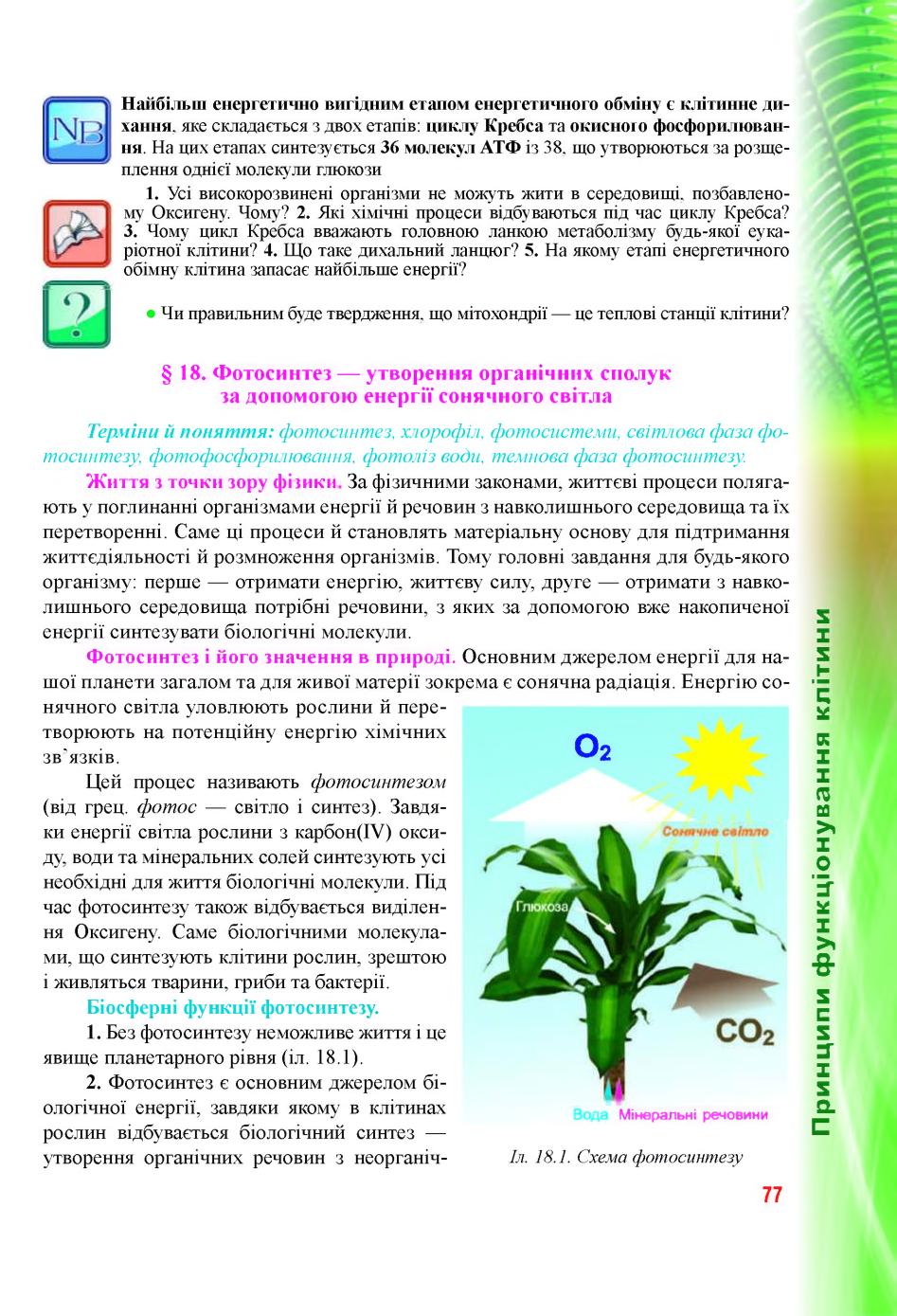 Мініатюра 77