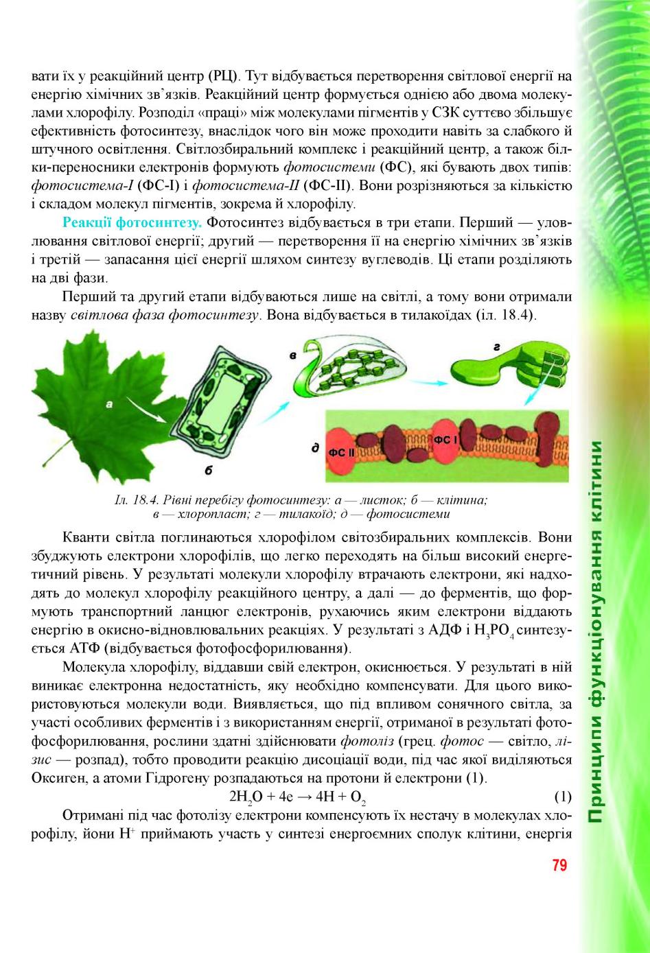 Мініатюра 79
