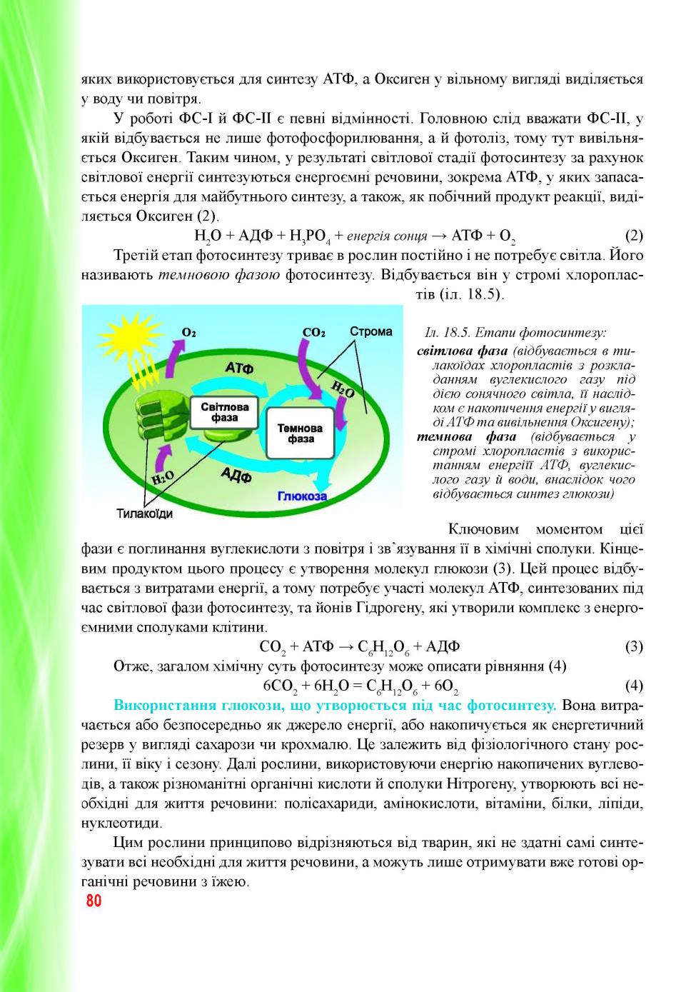 Мініатюра 80