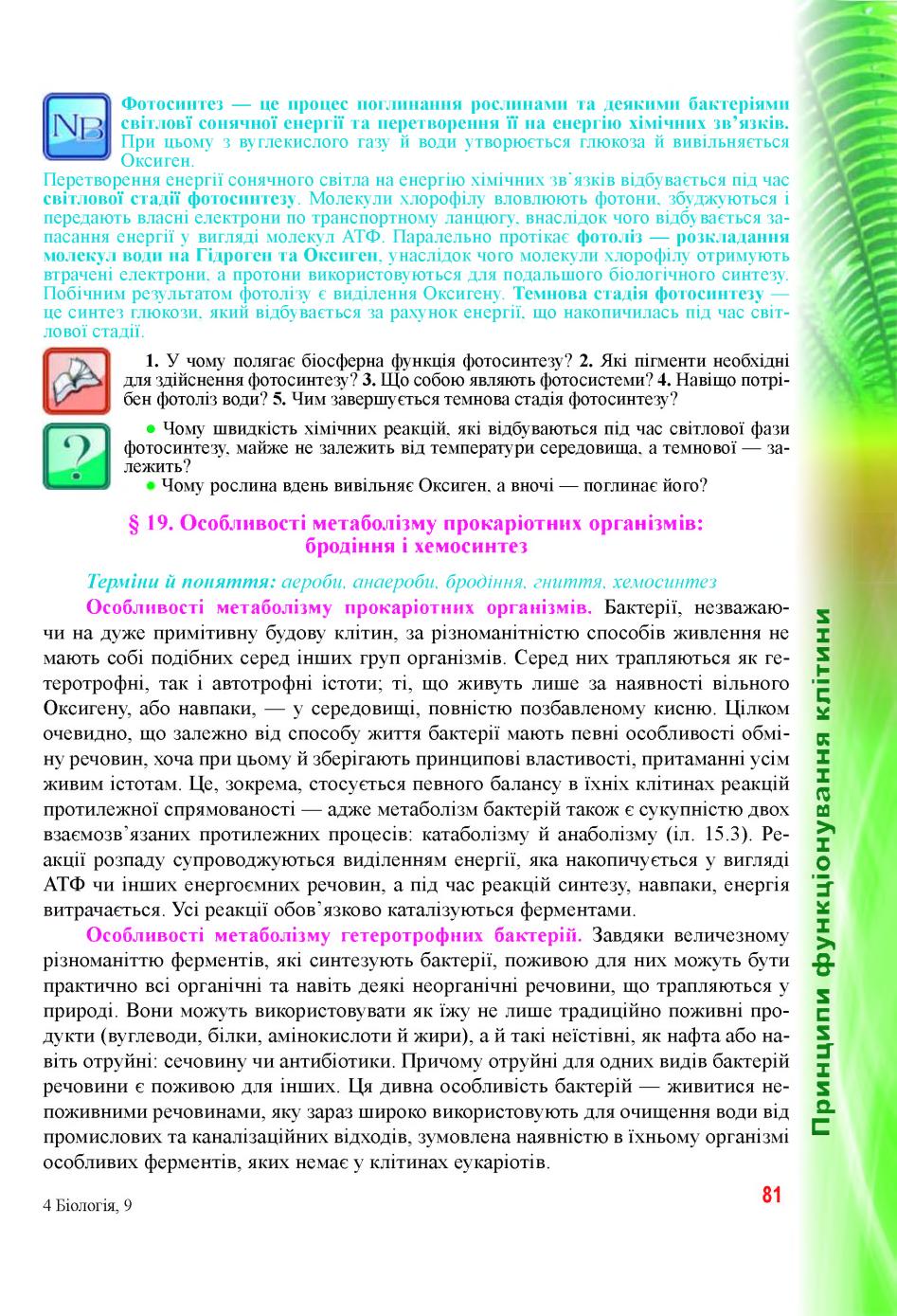 Мініатюра 81
