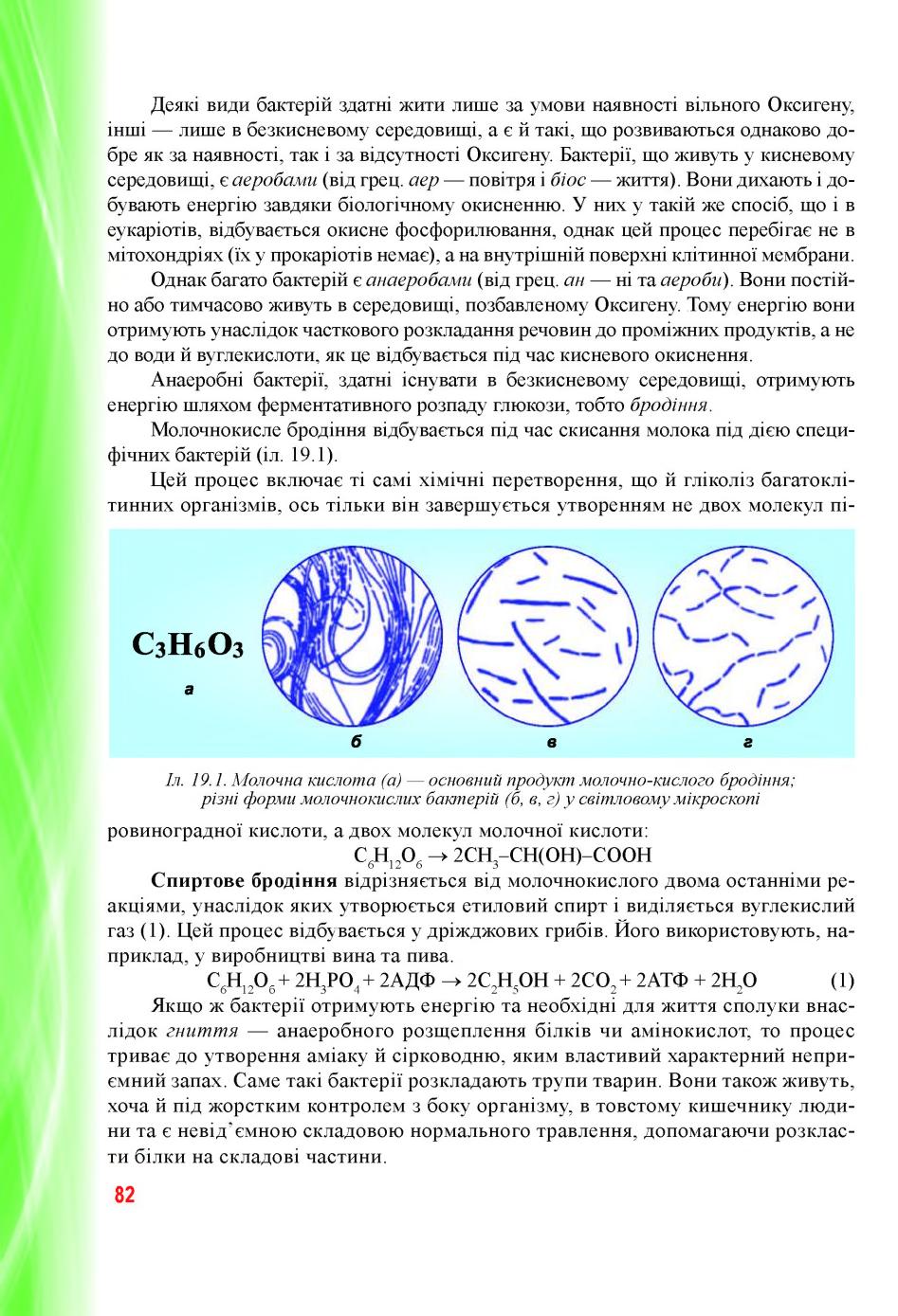 Мініатюра 82