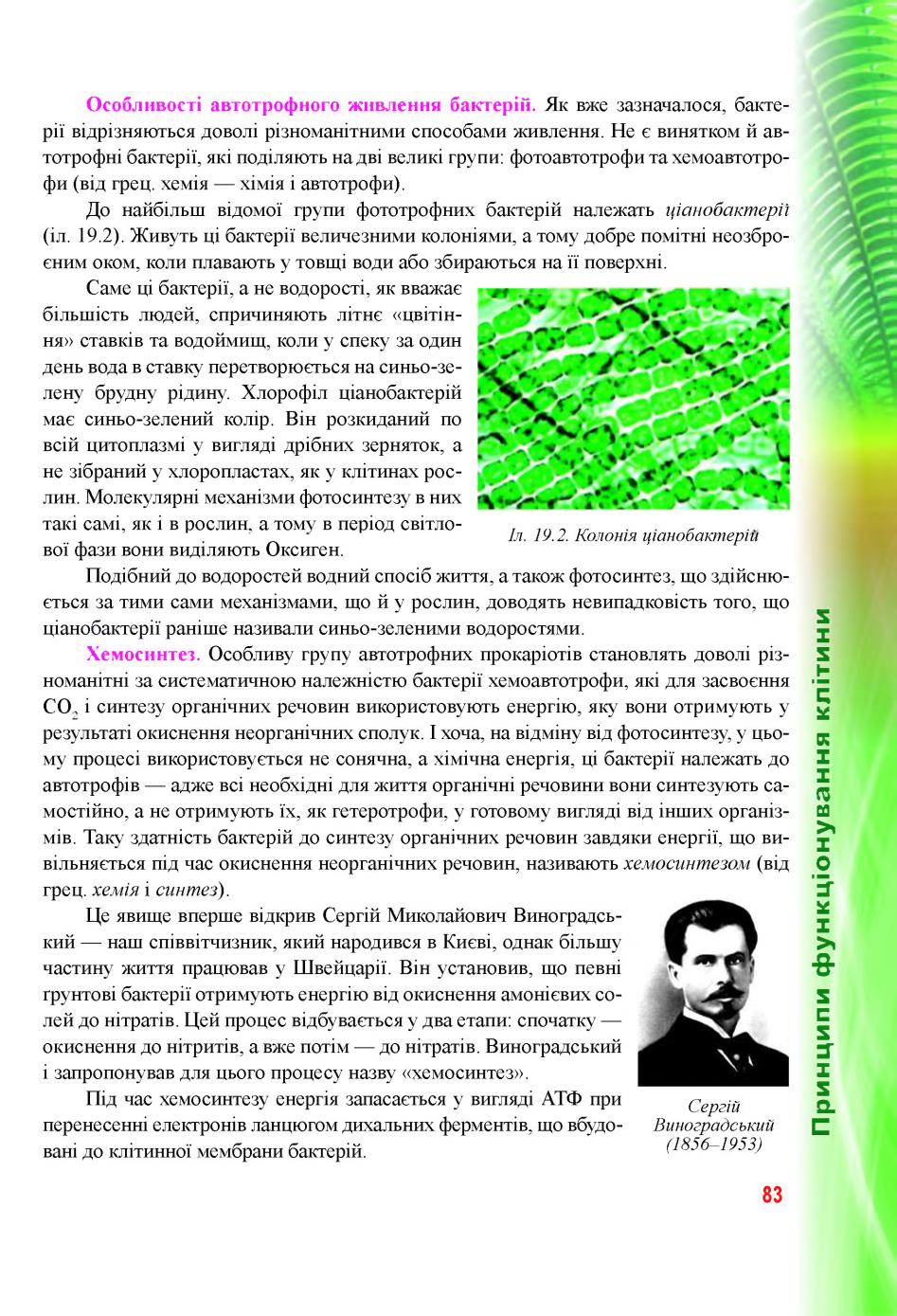 Мініатюра 83