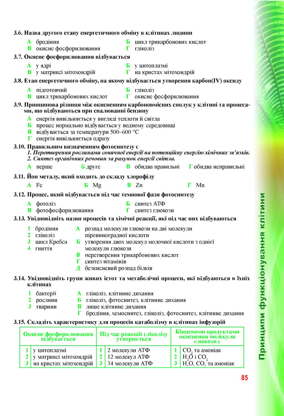 Мініатюра 85