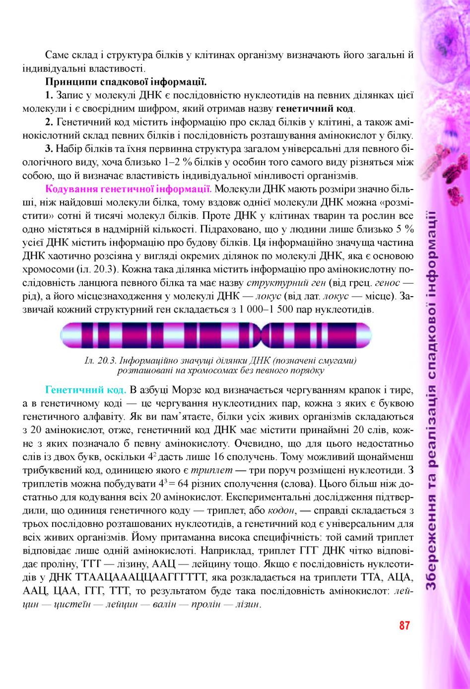Мініатюра 87