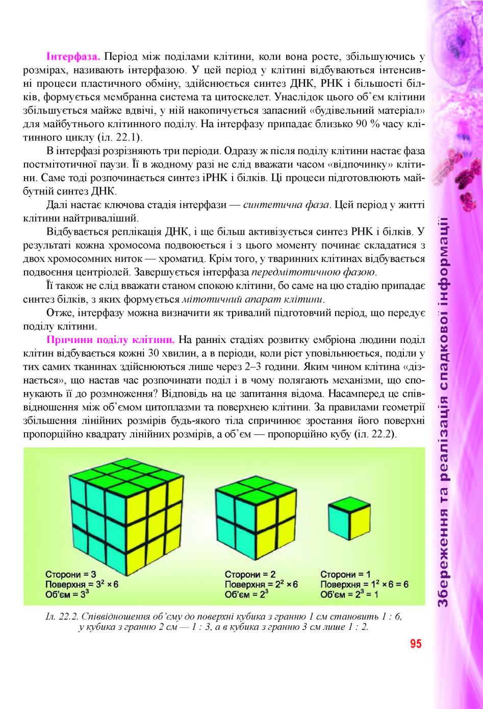 Мініатюра 95