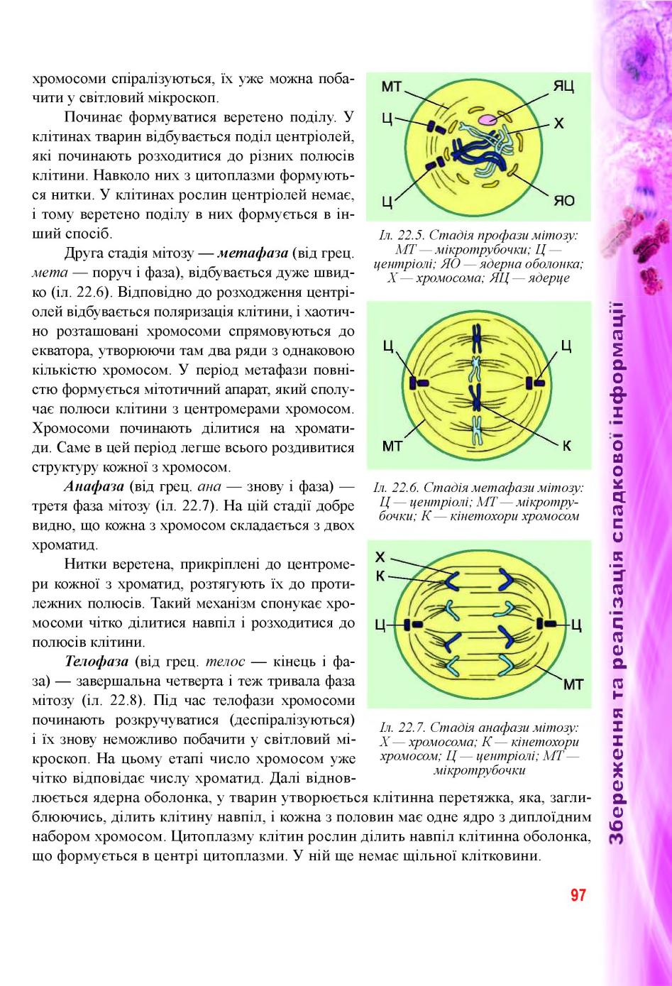 Мініатюра 97