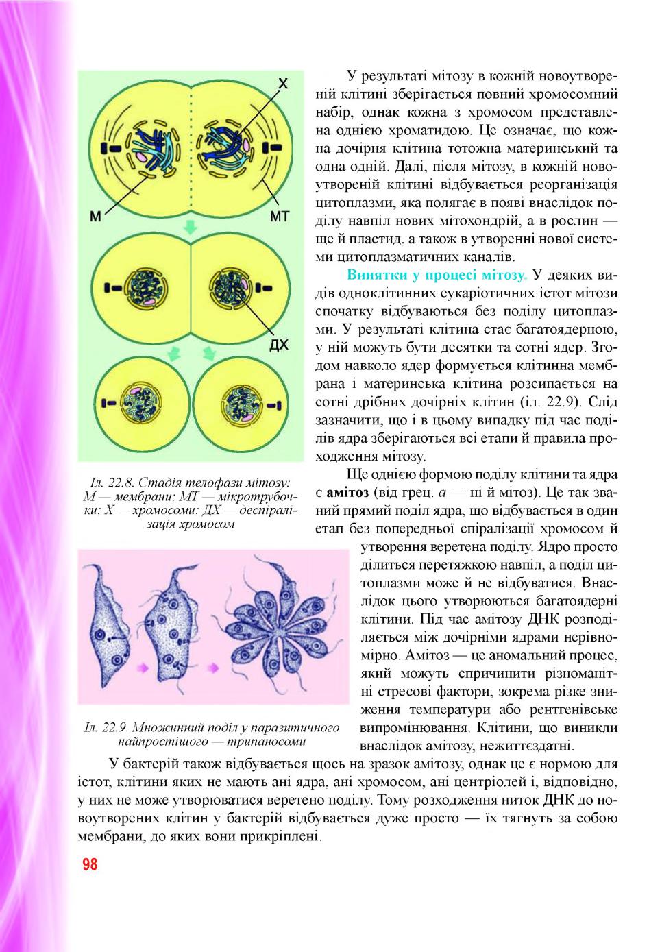 Мініатюра 98
