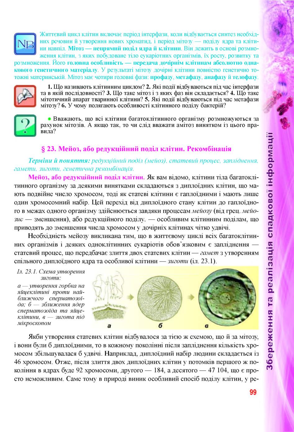 Мініатюра 99